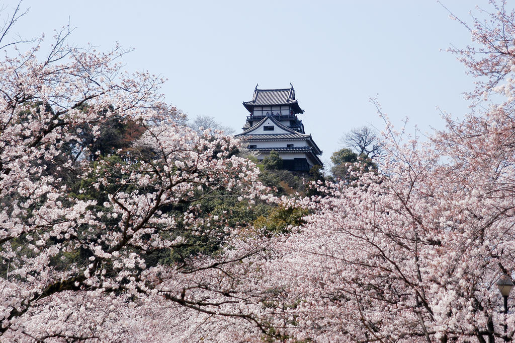 Meitetsu Hotel Inuyama Aichi Екстериор снимка